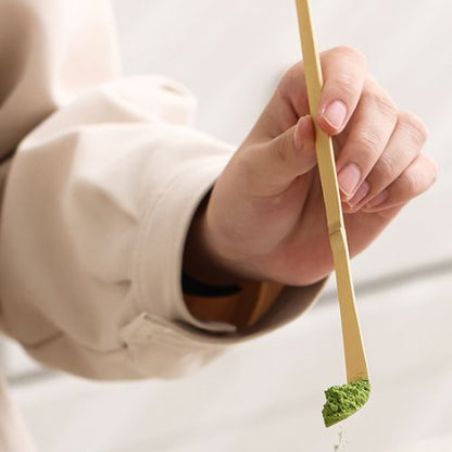 Fouet matcha indispensable mousseux