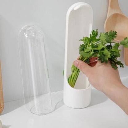 Boite de conservation alimentaire - Rayonnour