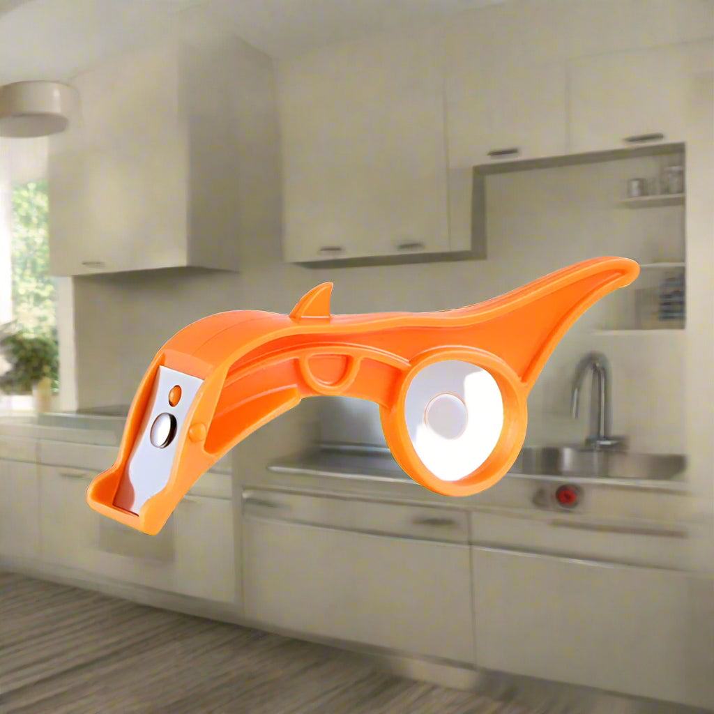 econome orange