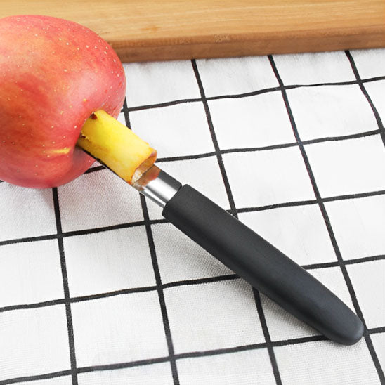 Vide pomme inox