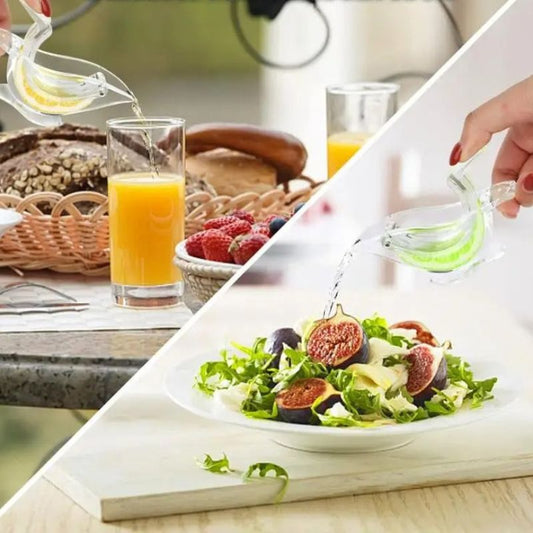 Presse-Agrume Chic et Pratique - Rayonnour
